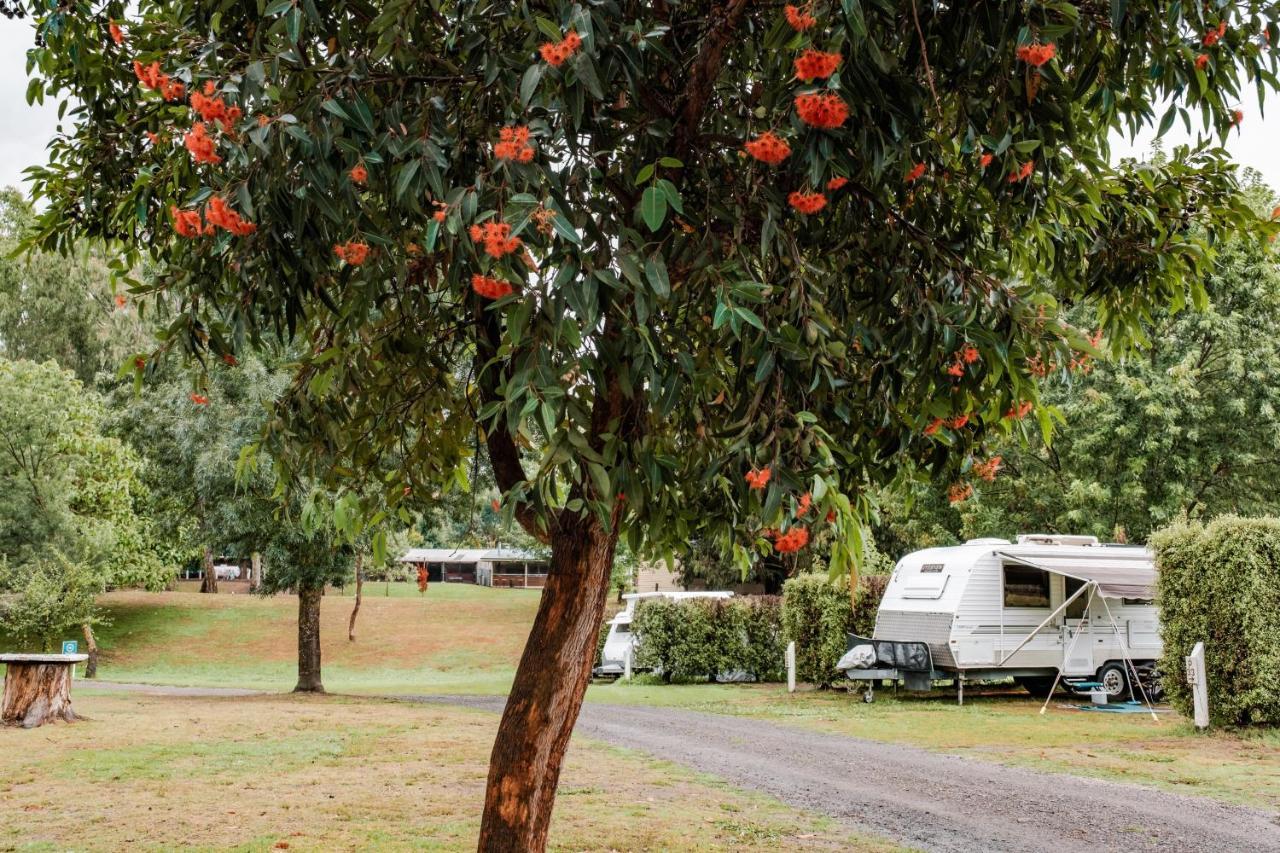 Big4 Breeze Holiday Parks - Eildon Exterior foto